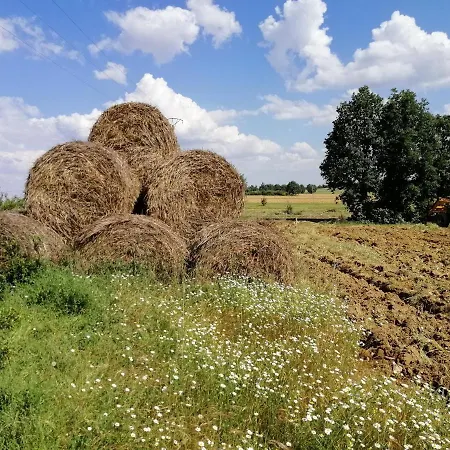 Hotel Rural Lajafriz Fornillos de Aliste