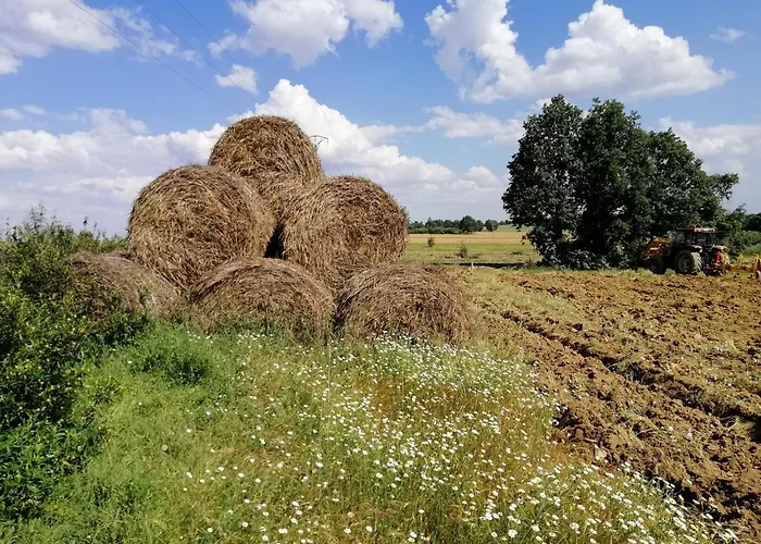 Hotel Rural Lajafriz Fornillos de Aliste