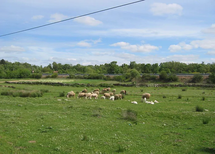 Rural Lajafriz 3*